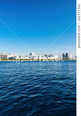東京丰洲市場和彩虹橋的風景 東京丰洲市場和彩虹橋的風景 102331381