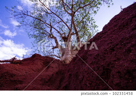 Mombasa Nairobi Standard Gauge Railway Project Construction By Antony Trivet Travels Blog 102331458
