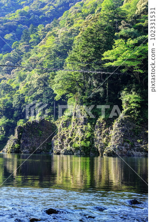 新鮮的綠色道洛峽 102331531