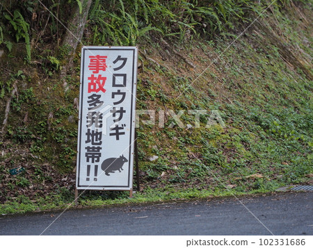 Amami Rabbit Accident Warning Sign (Amami City, Kagoshima Prefecture) Amami Rabbit Accident Warning Sign (Amami City, Kagoshima Prefecture) 102331686