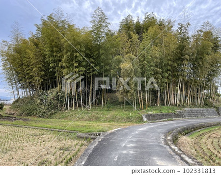Makimuku Ruins (Higashida Otsuka Burial Mound) 102331813