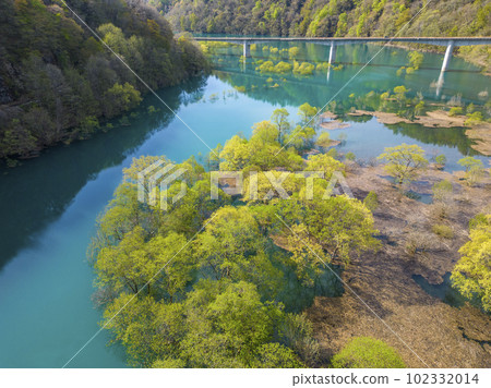 Shusen Lake Submerged Forest Shusen Lake Submerged Forest 102332014