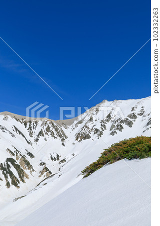 Toyama _ Tateyama Murodo in early spring Toyama _ Tateyama Murodo in early spring 102332263