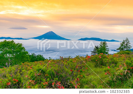 [富士山]初夏從甘有山看到的富士山、杜鵑花和雲海[山梨縣] 102332385