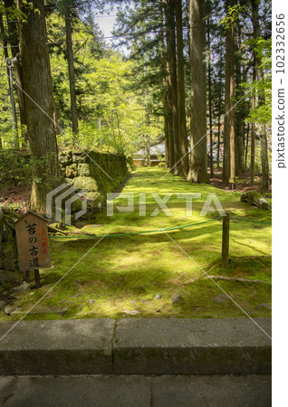 光善寺苔蘚古道 102332656