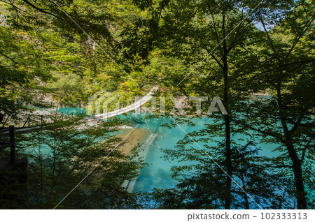 7449 Sumata Gorge 102333313