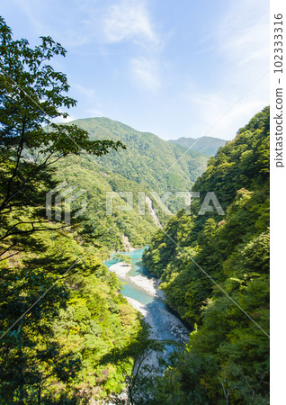 墨又峽 7461 墨又峽 7461 102333316