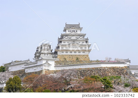 Spring at Himeji Castle, a world heritage site with cherry blossoms in full bloom 102333742
