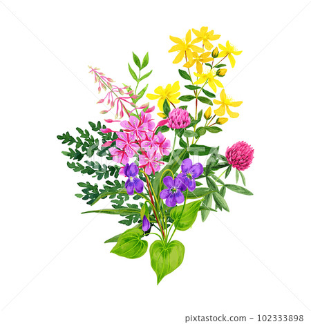 Wild flowers bouquet, fireweed clover and st johns wort 102333898