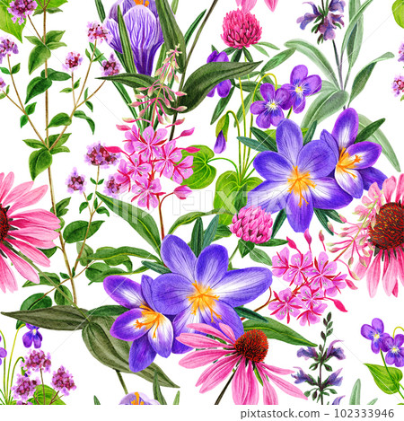 Watercolor seamless pattern, pink wild field flowers and herbs 102333946