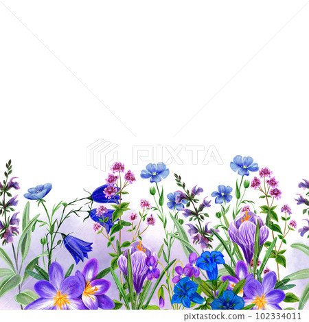 Watercolor seamless border, field wild flowers and herbs Watercolor seamless border, field wild flowers and herbs 102334011