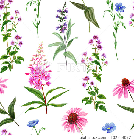 Watercolor seamless pattern, pink wild field flowers and herbs Watercolor seamless pattern, pink wild field flowers and herbs 102334057