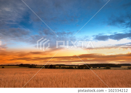 Sunset in the countryside in late summer - lots of copyspace Sunset in the countryside in late summer - lots of copyspace 102334212