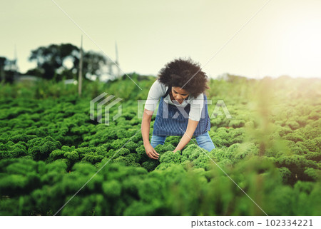 I control the growing environment of your garden. an attractive young female farmer working the fields. I control the growing environment of your garden. an attractive young female farmer working the fields. 102334221