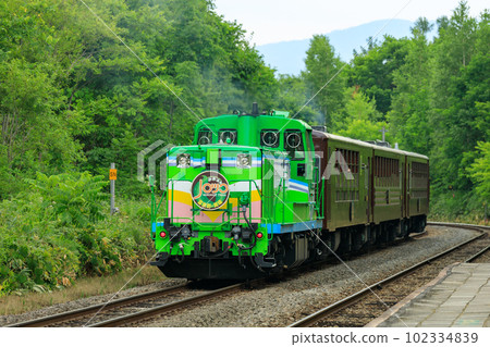 Hokkaido _ Scenery of Norokko running in the mountains Hokkaido _ Scenery of Norokko running in the mountains 102334839