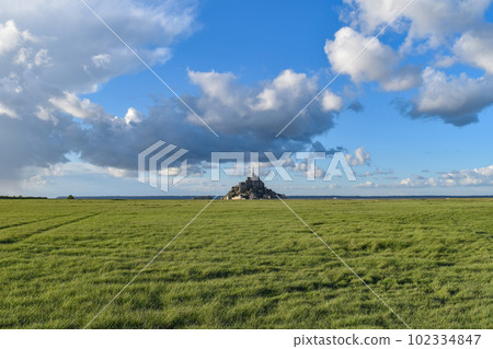Meadow and Mont Saint-Michel distant view Meadow and Mont Saint-Michel distant view 102334847