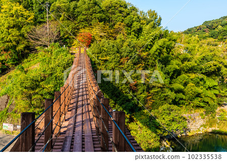 立上峽 龍神橋的紅葉 [熊本縣八代郡冰川町] 102335538