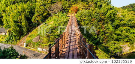 立上峽龍神橋紅葉全景[熊本縣八代郡冰川町] 102335539