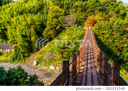立上峽 龍神橋的紅葉 [熊本縣八代郡冰川町] 102335540