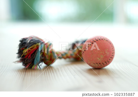 Closeup of chew toys, ball and rope with knot, puppy accessory toy on wood floor with pet care and objects. Color cotton object for games with dog, petshop product and entertainment for domestic pets 102335887