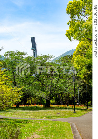 從綠意盎然的別府公園眺望環球塔和鶴見山 從綠意盎然的別府公園眺望環球塔和鶴見山 102336369