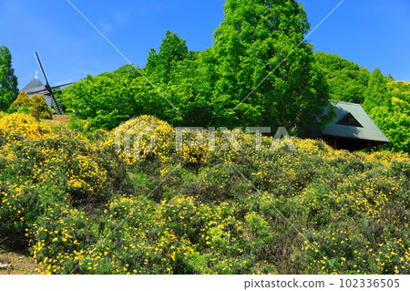 [德島縣] Sunny Asutamurando Tokushima Windmill Hill 102336505