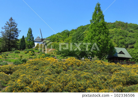[Tokushima Prefecture] Sunny Asutamurando Tokushima Windmill Hill 102336506