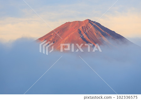Kawaguchiko, Yamanashi _ Superb view of Red Mt.Fuji sticking out of the sea of clouds 102336575