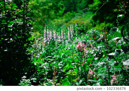 Atami park scenery 102336876
