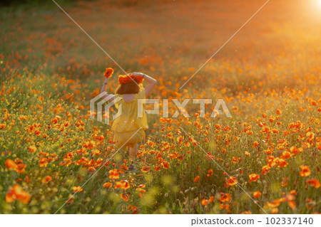 Happy girl poppy field walks under the evening sun. Back view 102337140
