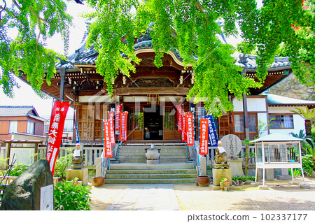 [Kagawa] Shodoshima in early summer, the main hall of Saikoji Temple 102337177