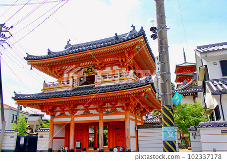 [Kagawa] Shodoshima in early summer: Saikoji Temple's vivid temple gate and vow tower 102337178