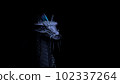 3d rendered illustration of a head dragon.  102337264