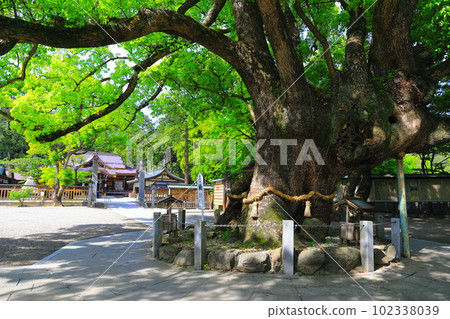 [德島縣]晴天的奧須神社 102338039