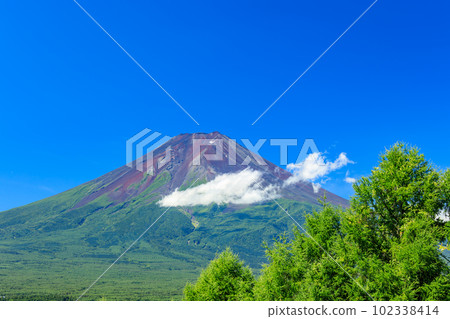 Kawaguchiko, Yamanashi _ Superb view of Mt. Fuji in fresh green Kawaguchiko, Yamanashi _ Superb view of Mt. Fuji in fresh green 102338414