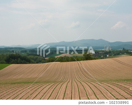 Spring field with hills Spring field with hills 102338991