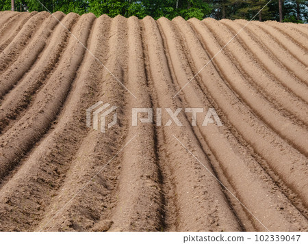 山脊泉田 山脊泉田 102339047