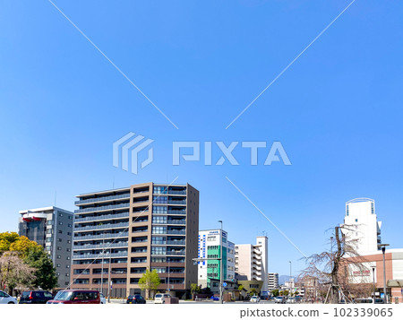 大分站上野之森口前通 102339065