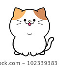 Smiling loose cute calico cat 102339383