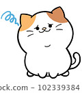 Troubled loose cute calico cat 102339384
