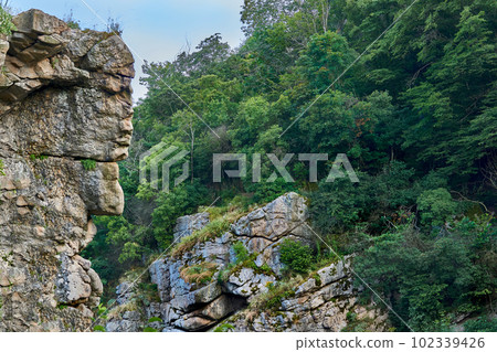 Stone cliff similar to a human face among rocks and green forest 102339426