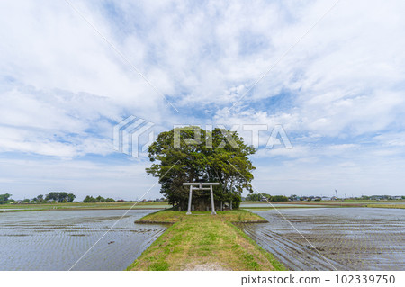 日本神社與田園風光(正面) 日本神社與田園風光(正面) 102339750