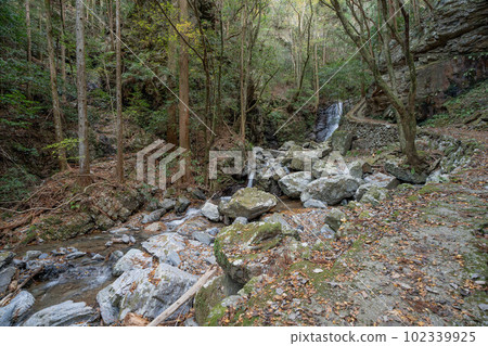 Rain waterfall of rain begining Rain waterfall of rain begining 102339925