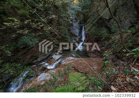 Rain waterfall of rain begining Rain waterfall of rain begining 102339932