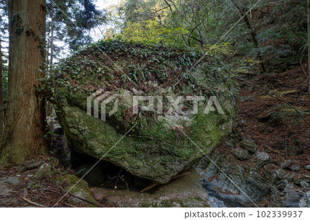 雨雨瀑布開始 102339937