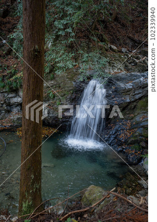 Rain waterfall of rain begining Rain waterfall of rain begining 102339940