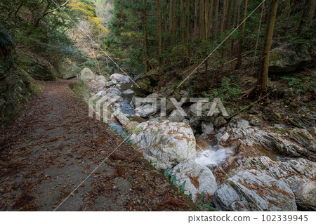 Rain waterfall of rain begining Rain waterfall of rain begining 102339945