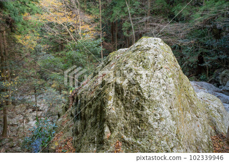 Rain waterfall of rain begining Rain waterfall of rain begining 102339946