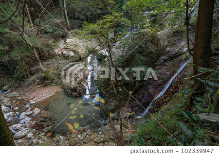 Rain waterfall of rain begining Rain waterfall of rain begining 102339947