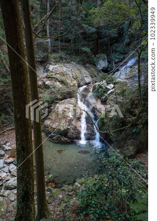 Rain waterfall of rain begining 102339949